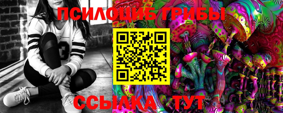 Галлюциногенные грибы Psilocybe Балтийск