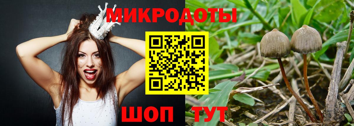 Псилоцибиновые грибы GOLDEN TEACHER  Вход с VPN  Балтийск 