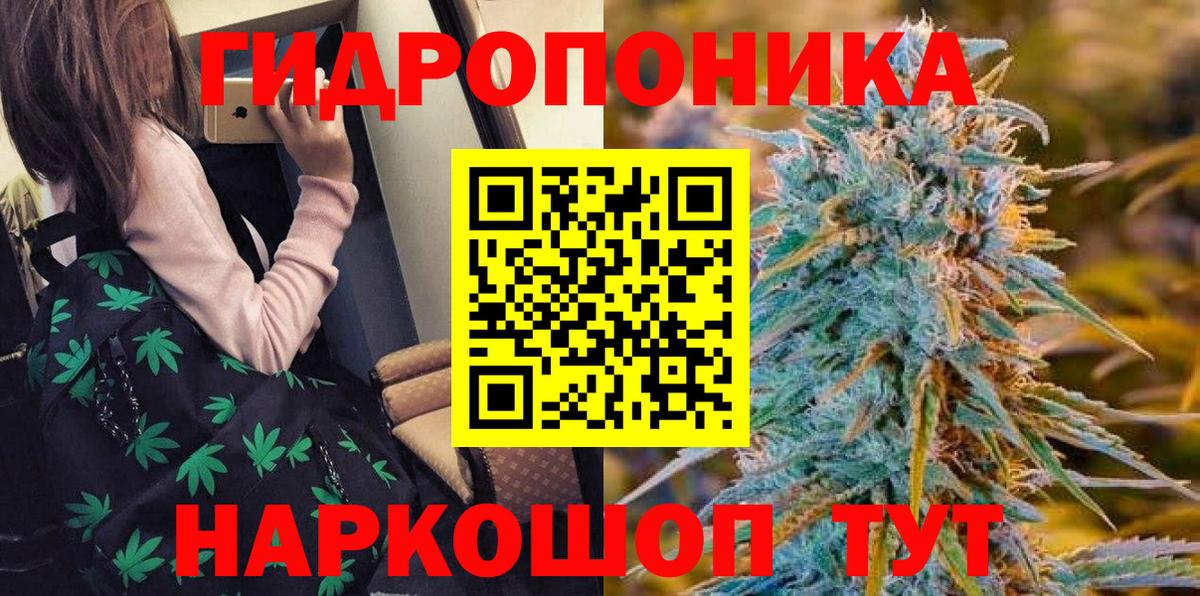 МАРИХУАНА семена Балтийск
